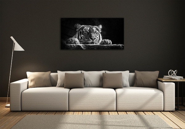 Wall art on glass Tiger