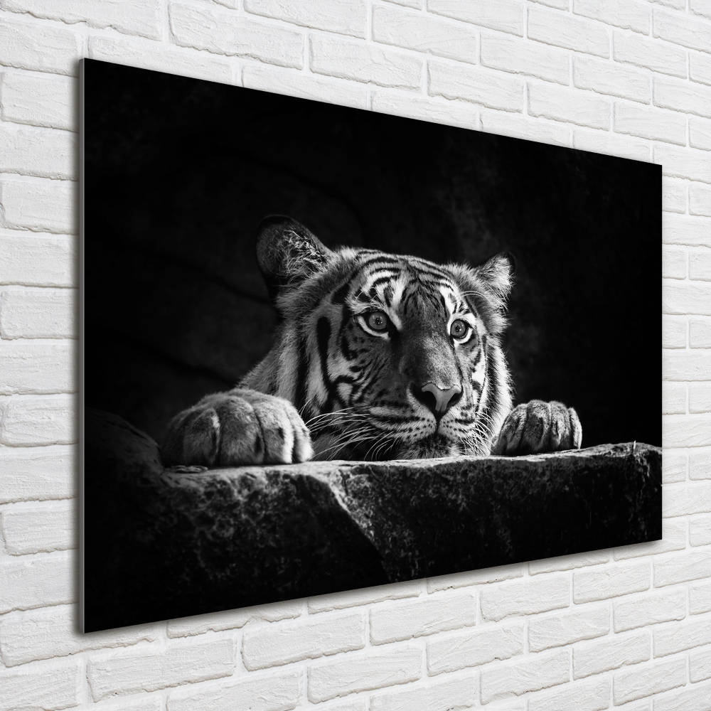 Wall art on glass Tiger