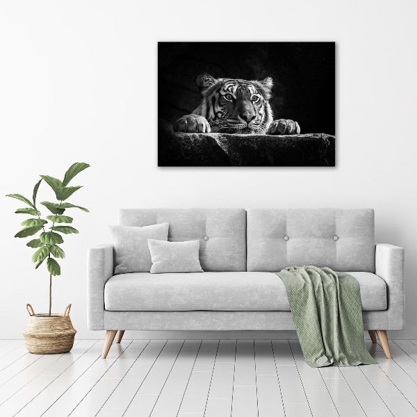 Wall art on glass Tiger