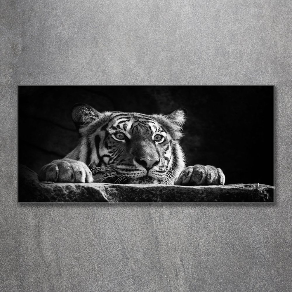 Wall art on glass Tiger