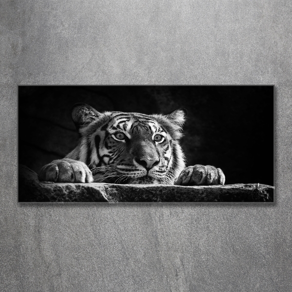 Wall art on glass Tiger