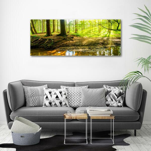 Glass art print Rays of the sun forest