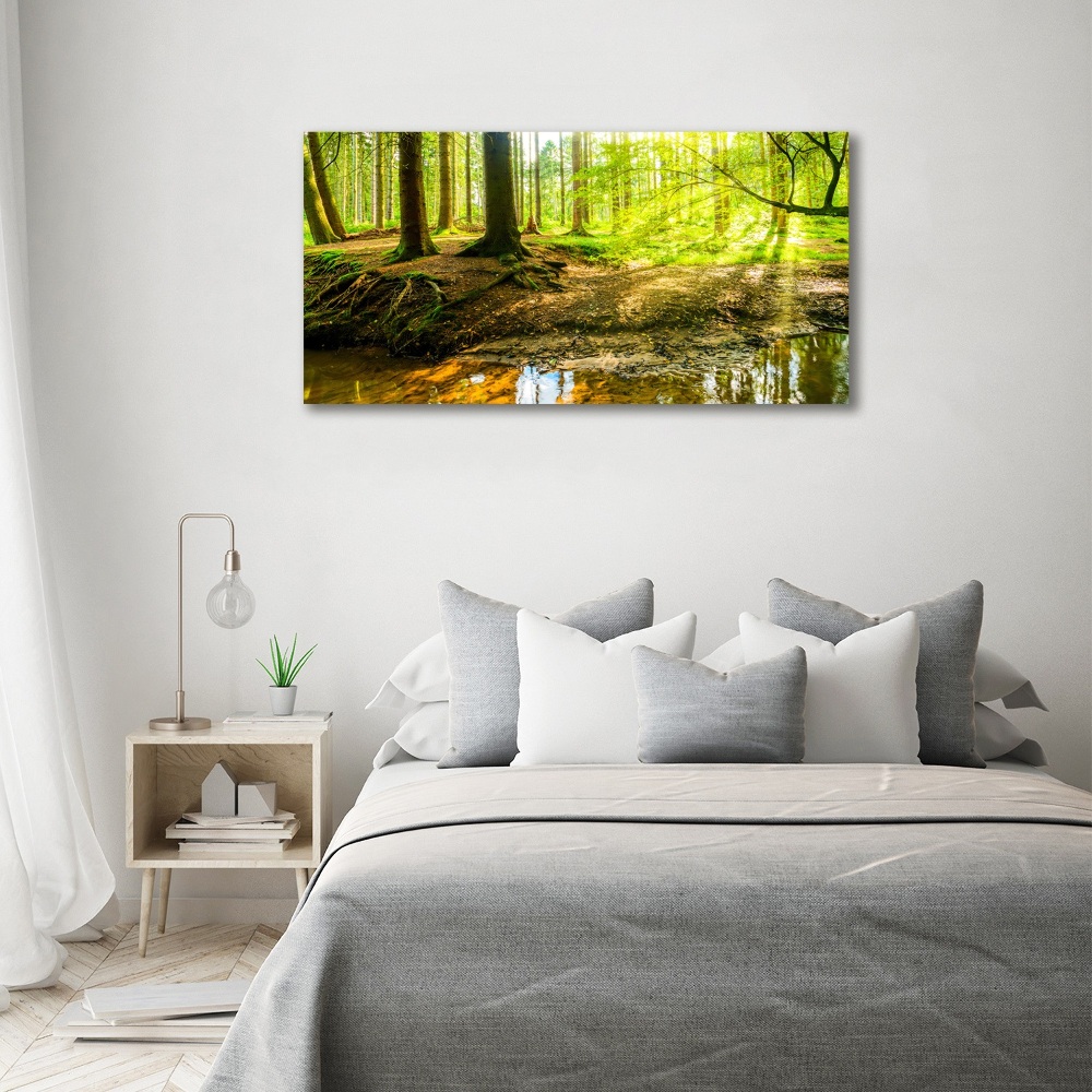 Glass art print Rays of the sun forest