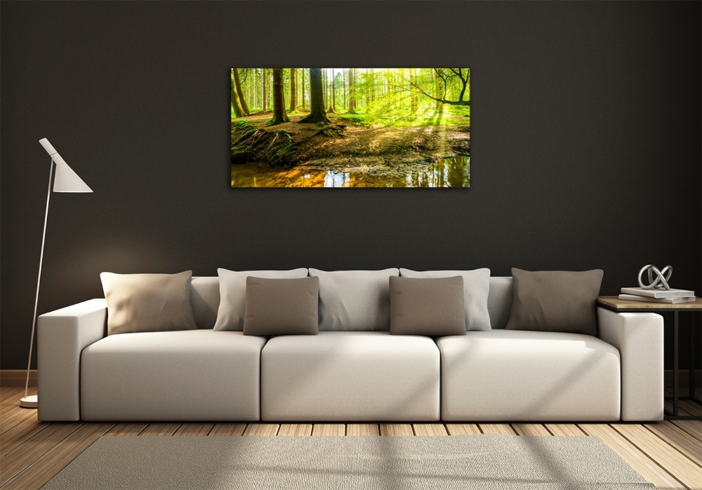 Glass art print Rays of the sun forest