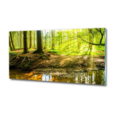 Glass art print Rays of the sun forest