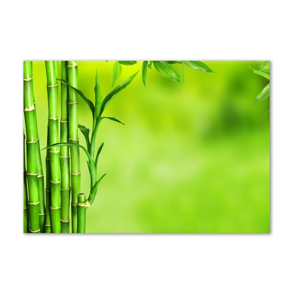 Glass wall art large Bamboo