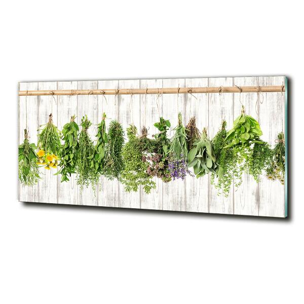 Glass wall art large Herbs on a string