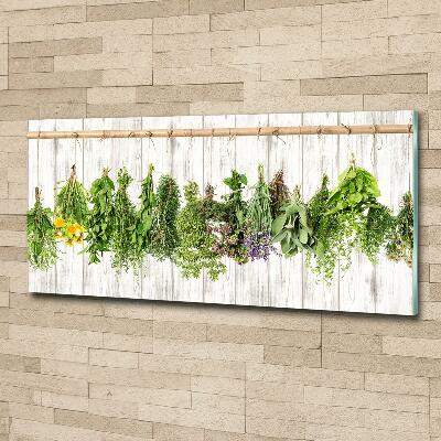 Glass wall art large Herbs on a string