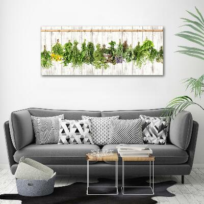 Glass wall art large Herbs on a string