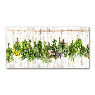 Glass wall art large Herbs on a string