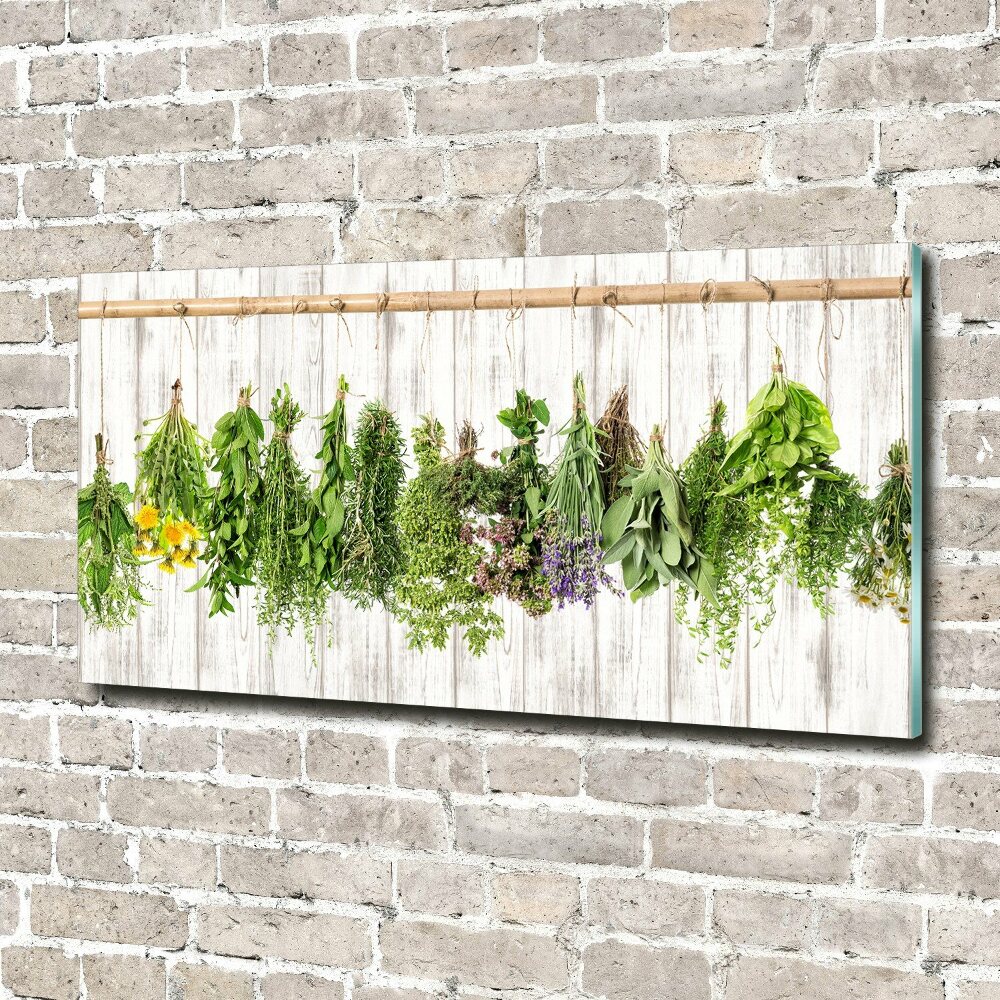 Glass wall art large Herbs on a string