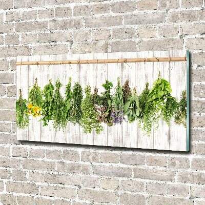 Glass wall art large Herbs on a string