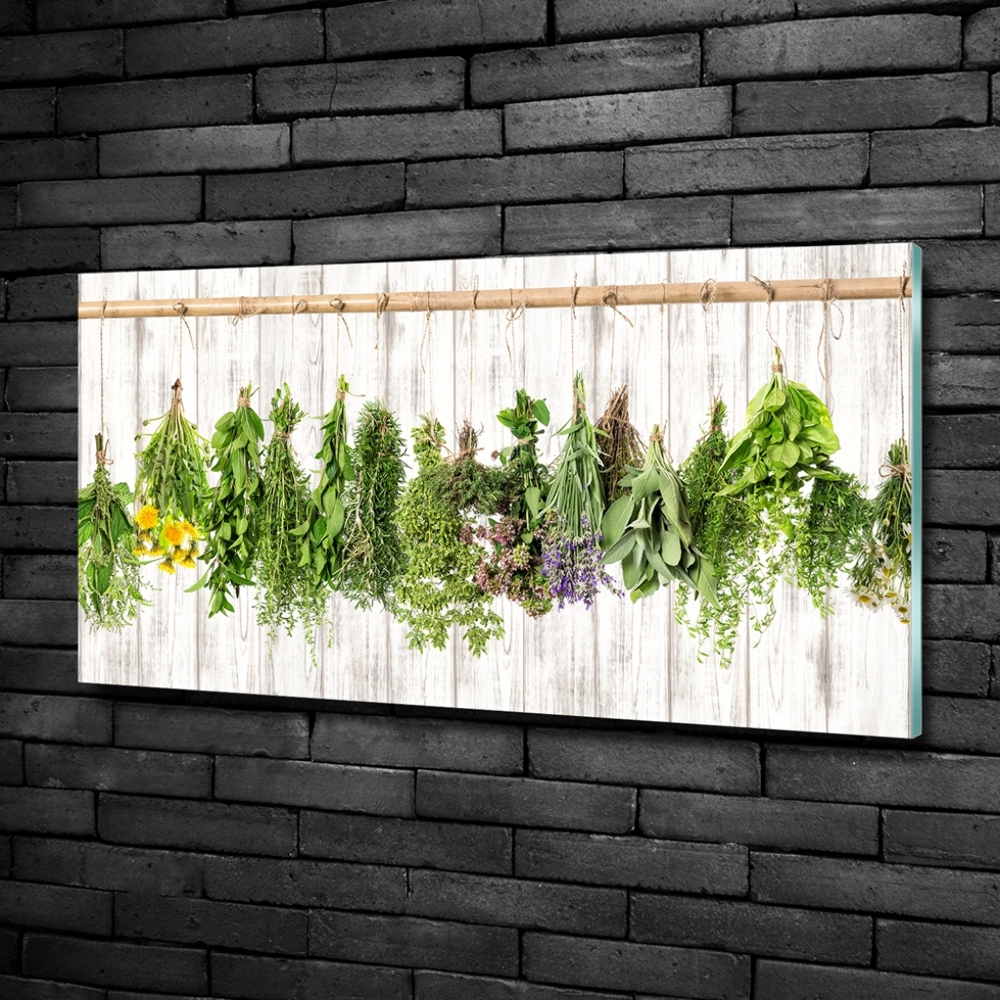 Glass wall art large Herbs on a string