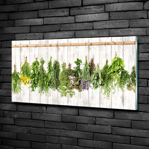 Glass wall art large Herbs on a string