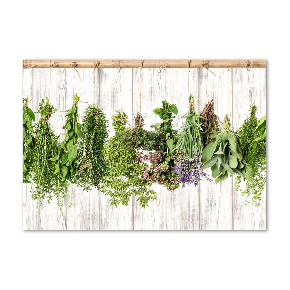 Glass wall art large Herbs on a string