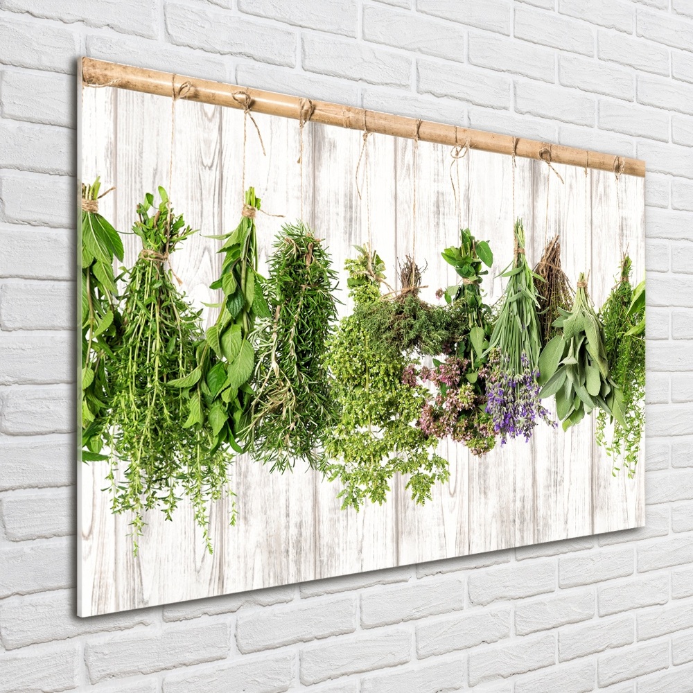 Glass wall art large Herbs on a string