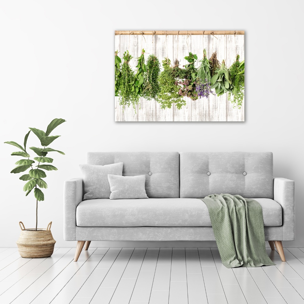 Glass wall art large Herbs on a string