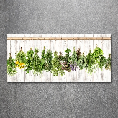 Glass wall art large Herbs on a string