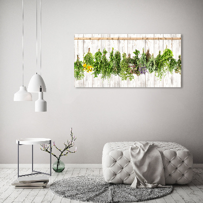 Glass wall art large Herbs on a string