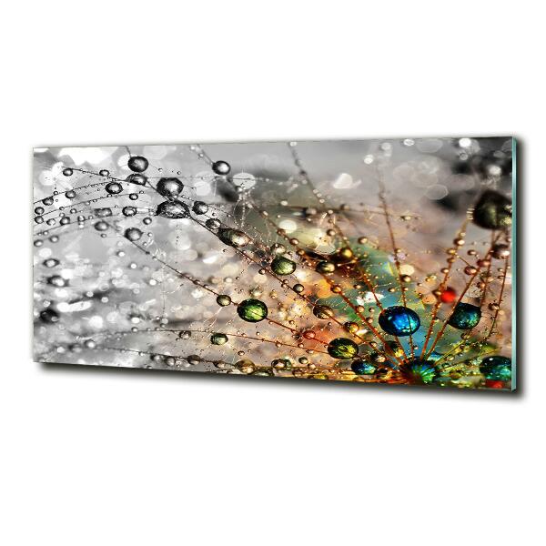 Glass wall art large Dandelion seeds