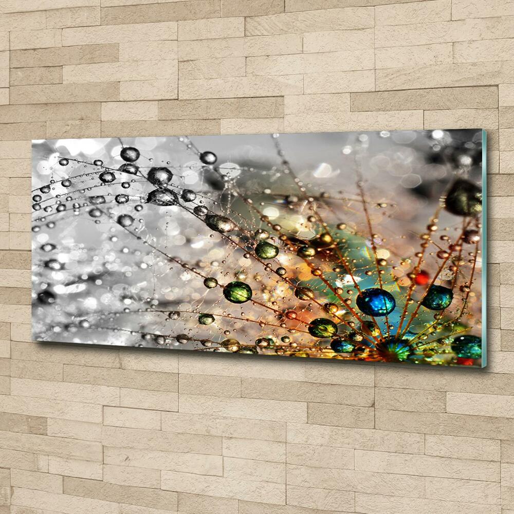 Glass wall art large Dandelion seeds