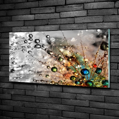 Glass wall art large Dandelion seeds