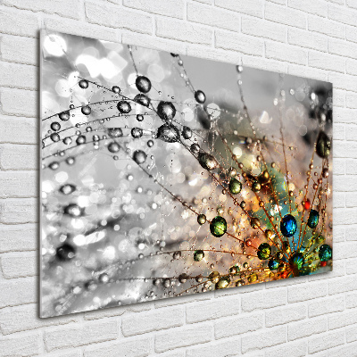 Glass wall art large Dandelion seeds