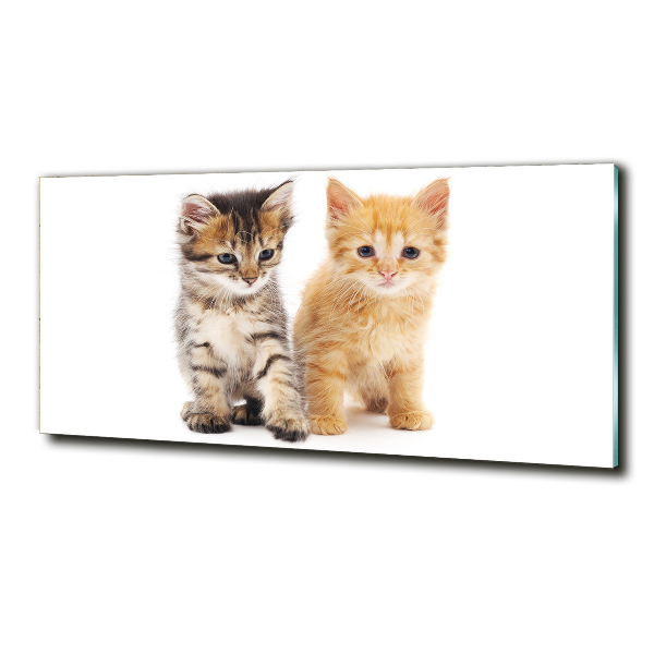 Wall art on glass Brown and red cat