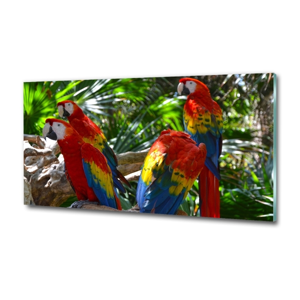 Glass wall art Ary parrots