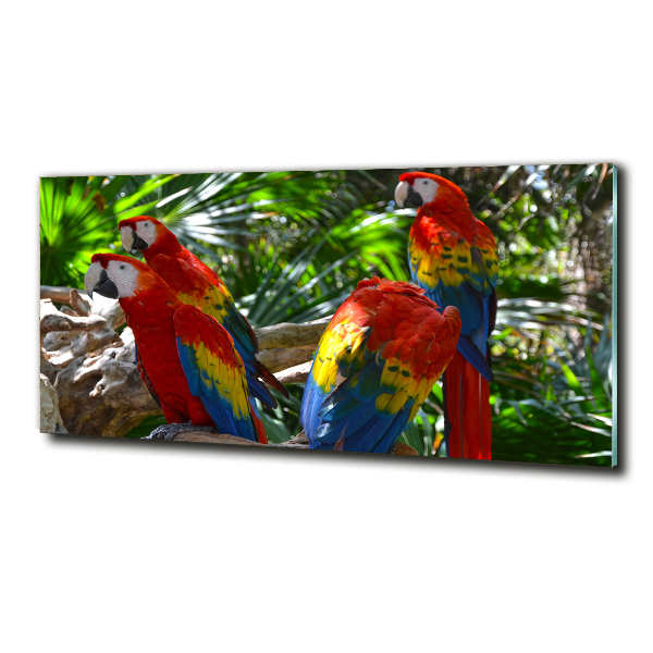 Glass wall art Ary parrots