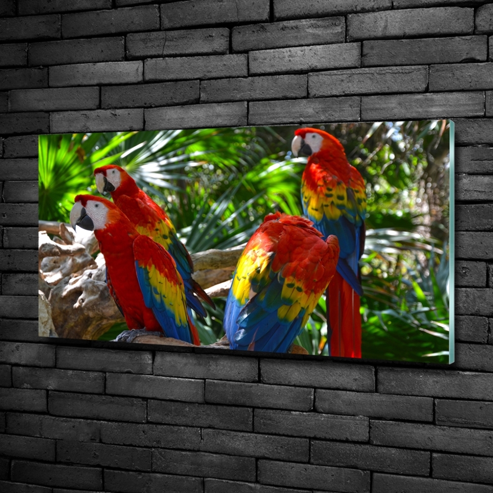 Glass wall art Ary parrots