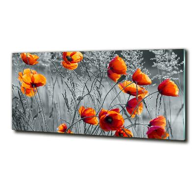 Glass wall art large Field poppies