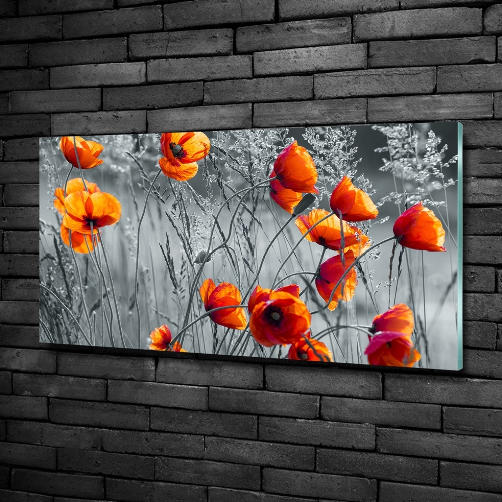 Glass wall art large Field poppies