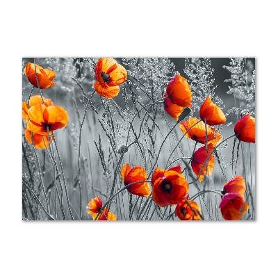 Glass wall art large Field poppies