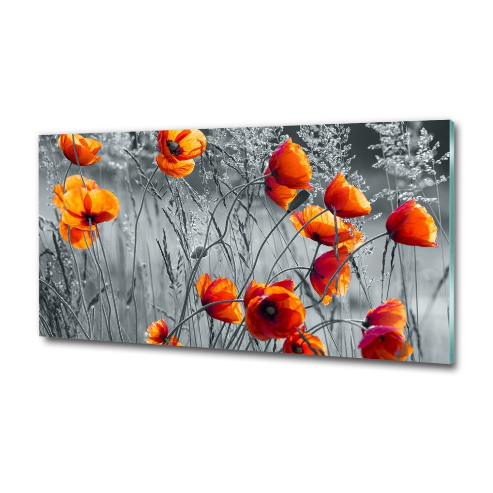 Glass wall art large Field poppies