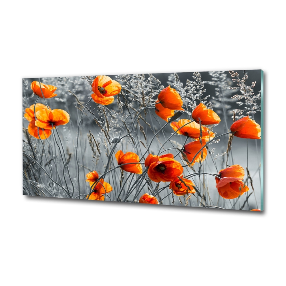 Glass wall art large Field poppies