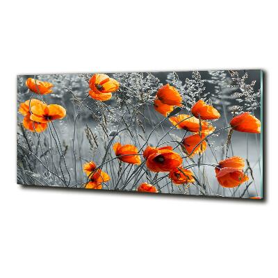 Glass wall art large Field poppies