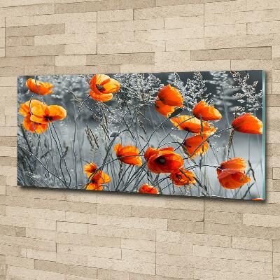 Glass wall art large Field poppies