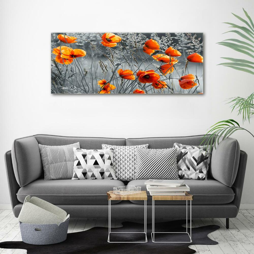 Glass wall art large Field poppies