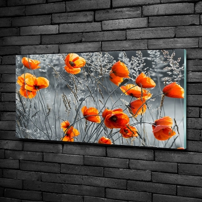 Glass wall art large Field poppies