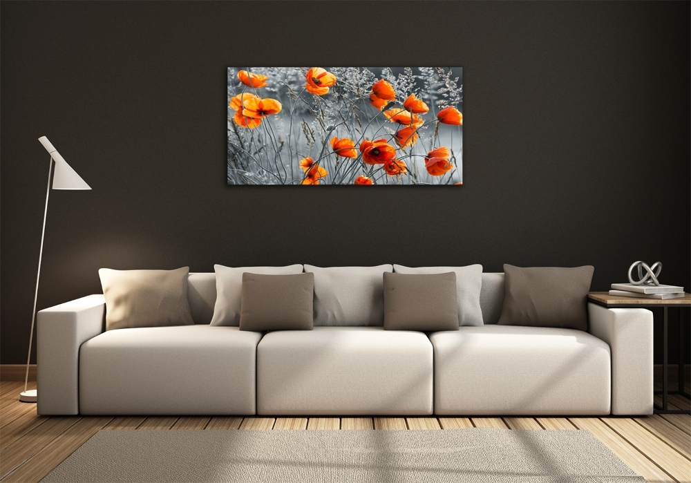 Glass wall art large Field poppies