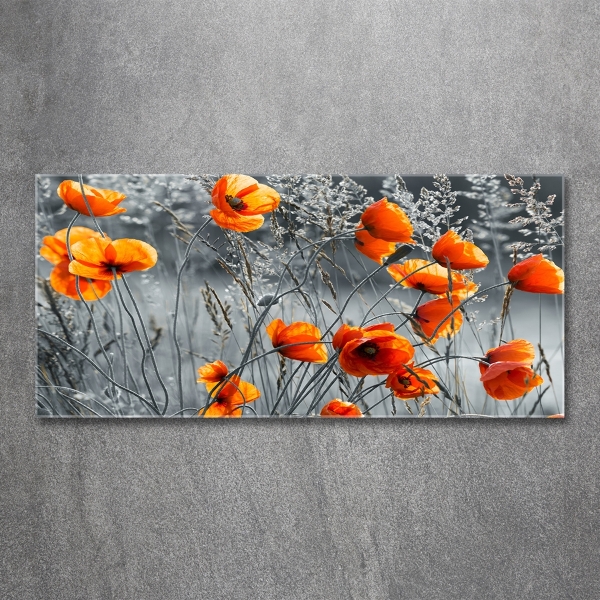 Glass wall art large Field poppies