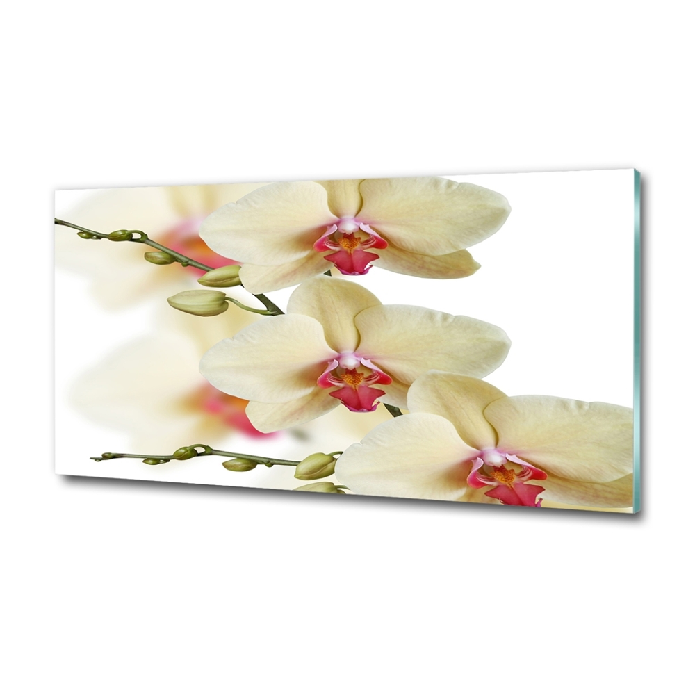 Glass wall art large Orchid