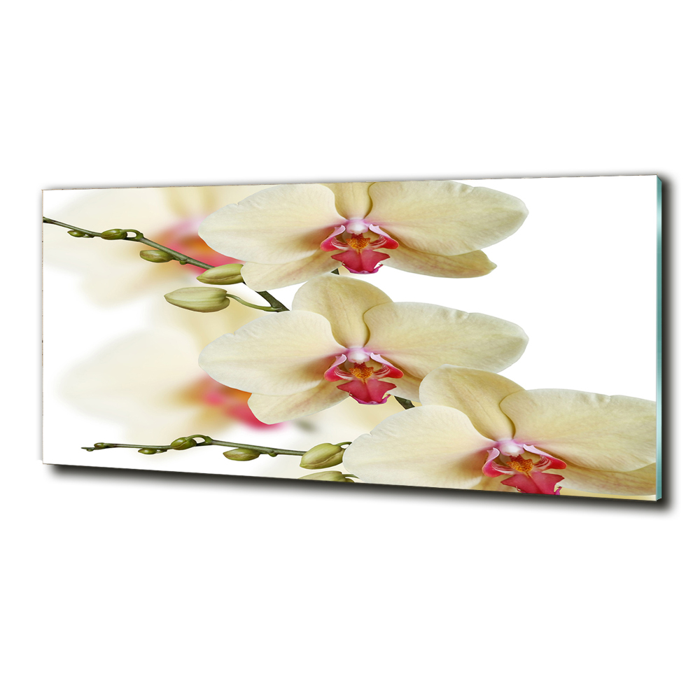 Glass wall art large Orchid