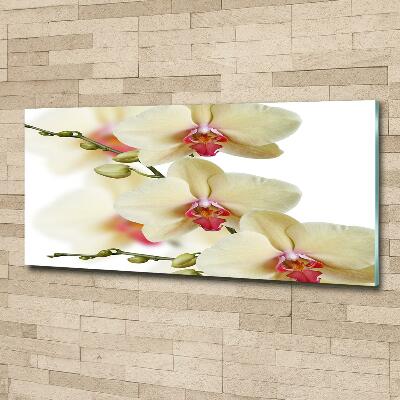 Glass wall art large Orchid