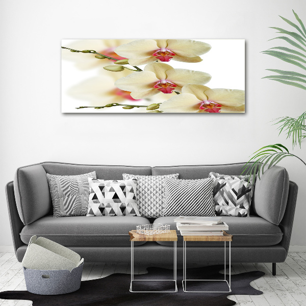 Glass wall art large Orchid