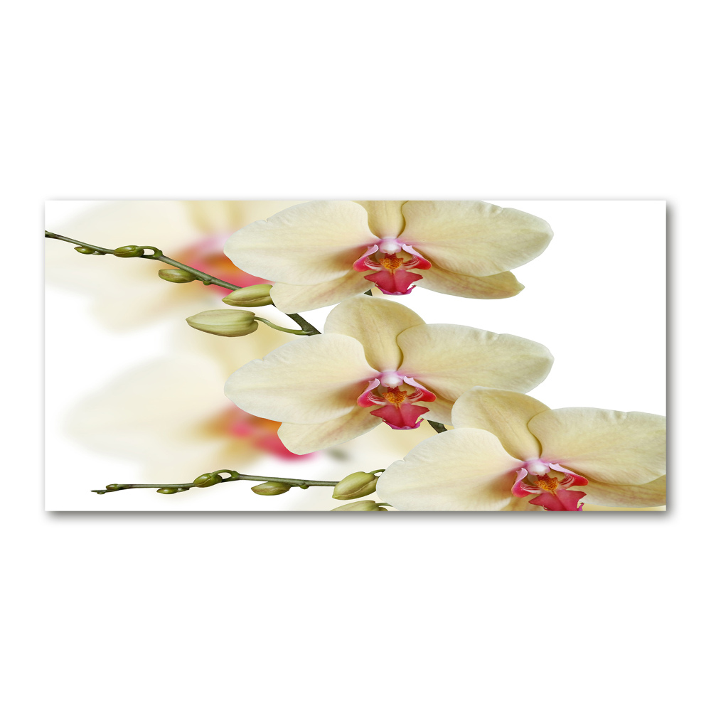 Glass wall art large Orchid