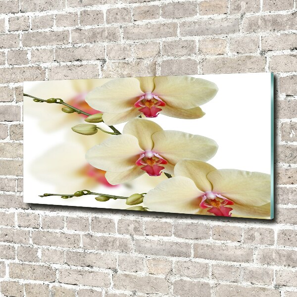 Glass wall art large Orchid