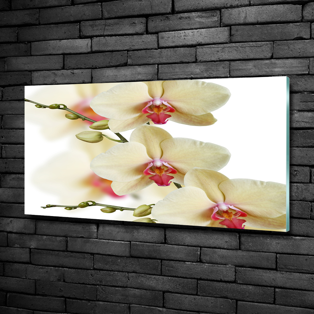 Glass wall art large Orchid