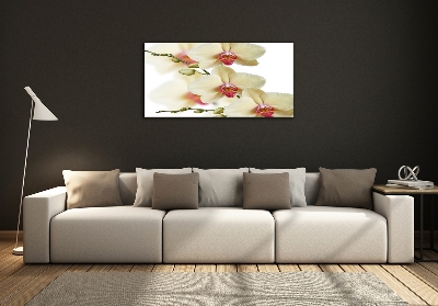 Glass wall art large Orchid